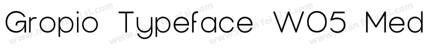 Gropio Typeface W05 Medium字体转换